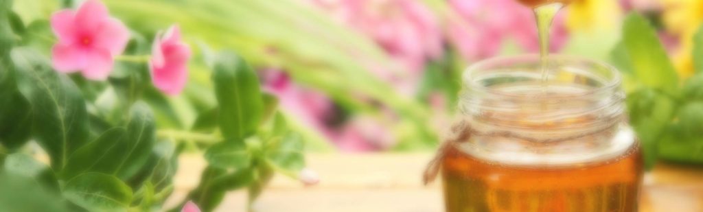 Bắc Hà Curcumin