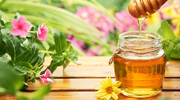 Bắc Hà Curcumin