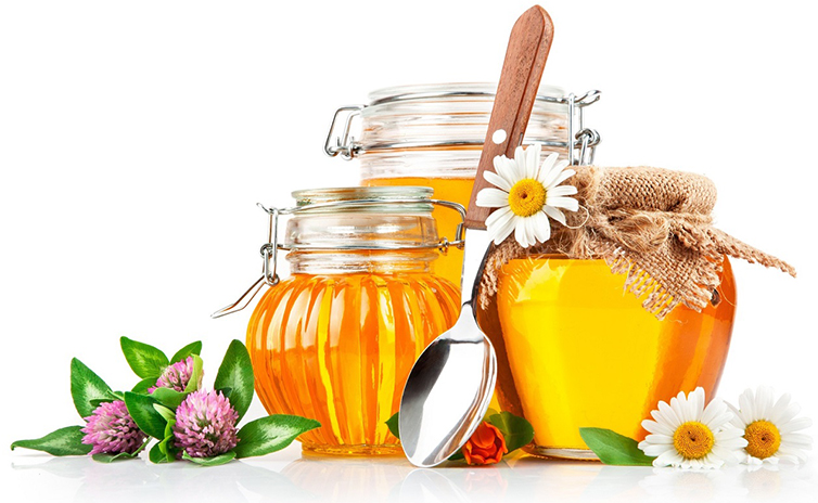 Bắc Hà Curcumin
