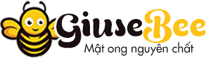Bắc Hà Curcumin