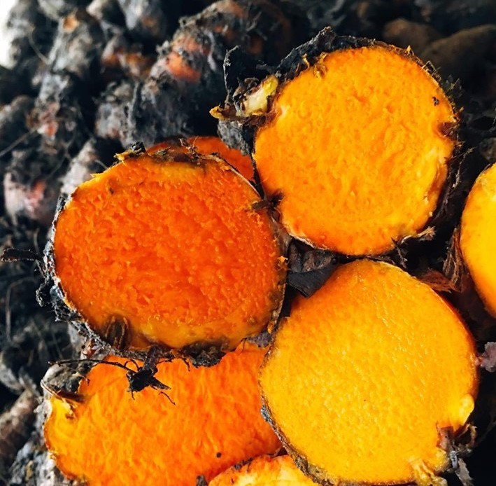 Bắc Hà Curcumin